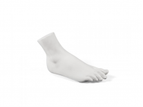 Аксесуар Female foot