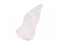 Декоративний елемент Memorabilia Mvsevm, Wings right