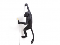 Настінний світильник Hanging right monkey, біла