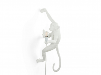 Настінний світильник Outdoor hanging monkey, білий