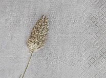 Паперові серветки Napkin Grass 2, світло-сірі Паперові серветки Napkin Grass 2, світло-сірі