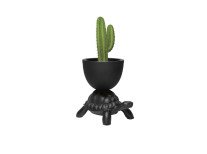 Кашпо та контейнер для охолодження шампанського Turtle Carry, чорне