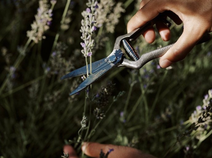 Садовые ножницы, Pallarès