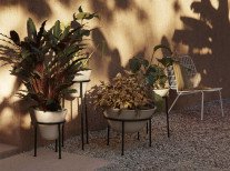 Кашпо Daiza planter, H35/Ø25- Кашпо Daiza planter, H35/Ø25-