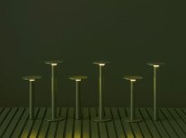 Портативная лампа Host-220, оливковая